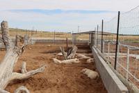 Farmhaus in Stampriet