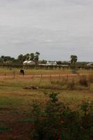 Farmhaus in Stampriet