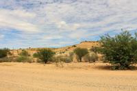 Landschaft in der Kalahari