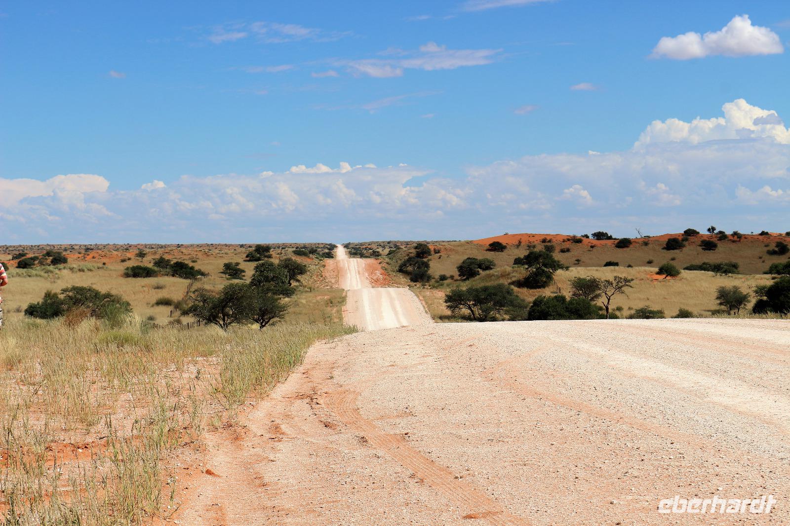 111 Dünen in der Kalahari