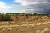 Aufziehendes Unwetter in der Kalahari