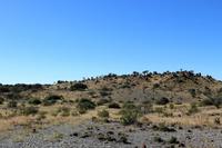 Köcherbaumwald und Giants Playground