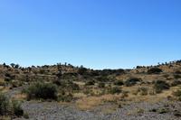 Köcherbaumwald und Giants Playground