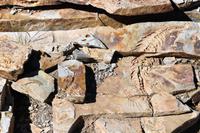 Mesosaurus Fossil Camp bei Keetmanshoop
