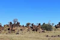 Köcherbaumwald und Giants Playground