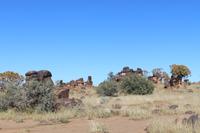 Köcherbaumwald und Giants Playground