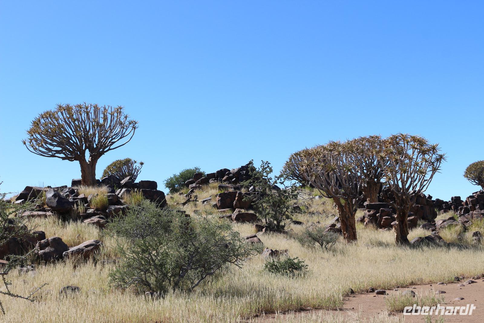 Köcherbaumwald und Giants Playground