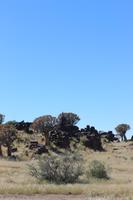 Köcherbaumwald und Giants Playground