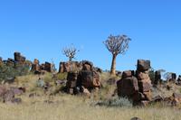 Köcherbaumwald und Giants Playground