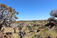 Köcherbaumwald und Giants Playground