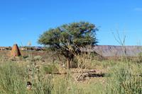 Lehmofen in den Karasbergen