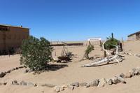 Führung in Kolmanskop