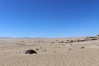 Führung in Kolmanskop