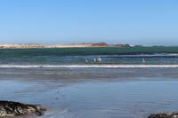 Pelikane in der Bucht von Lüderitz