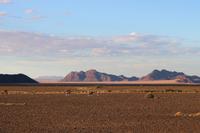 Oryx im Namib Naukluft Nationalpark