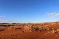 Namib Naukluft Nationalpark