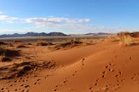 Namib Naukluft Nationalpark