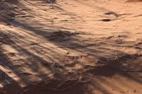 Namib Naukluft Nationalpark