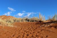 Namib Naukluft Nationalpark