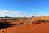 Namib Naukluft Nationalpark