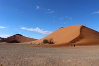 Düne 45 im Namib Naukluft Nationalpark
