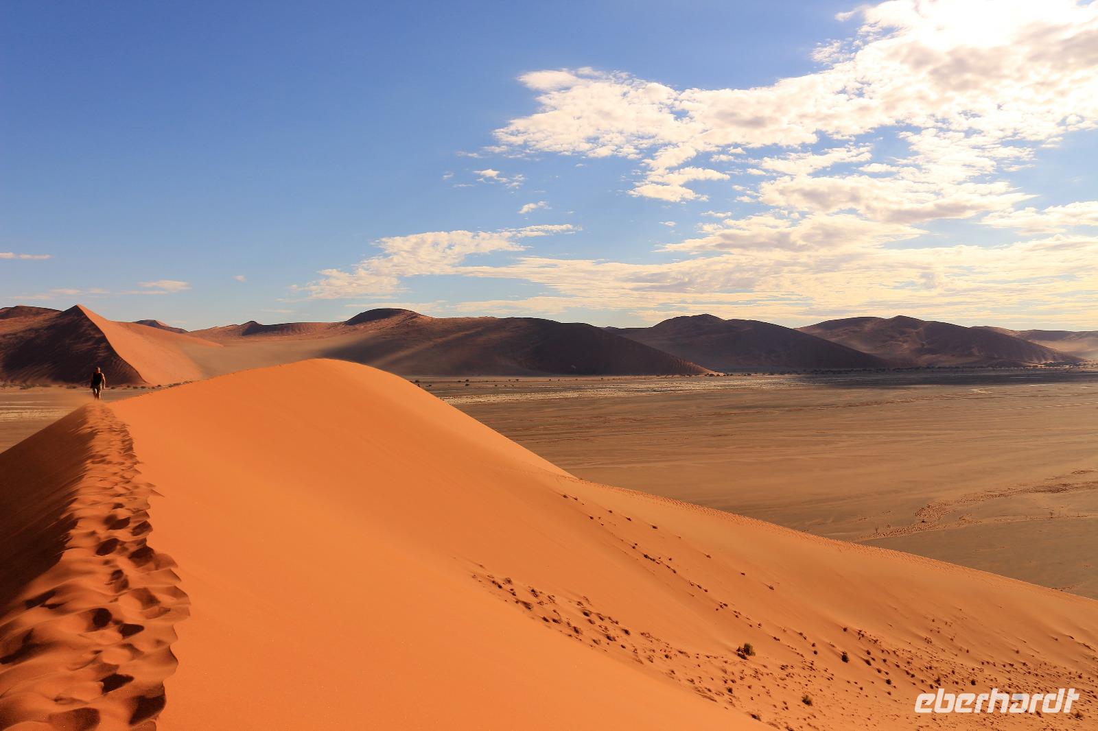 Wanderung auf die Düne 45 im Namib Naukluft Nationalpark