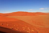 Düne 45 im Namib Naukluft Nationalpark