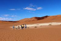 Wanderung ins Dead Vlei