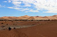 Wanderung ins Dead Vlei