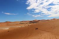 Wanderung ins Dead Vlei
