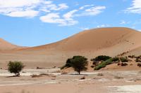 Sossusvlei