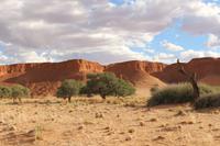 Sundownerfahrt in der Namib Desert Lodge