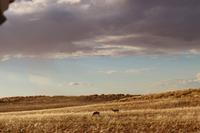 Sundownerfahrt in der Namib Desert Lodge