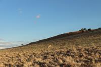 Sundownerfahrt in der Namib Desert Lodge