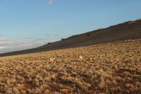 Sundownerfahrt in der Namib Desert Lodge