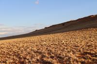 Sundownerfahrt in der Namib Desert Lodge
