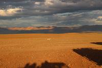 Sundownerfahrt in der Namib Desert Lodge