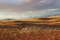 Sundownerfahrt in der Namib Desert Lodge