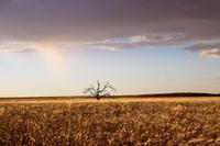 Sundownerfahrt in der Namib Desert Lodge