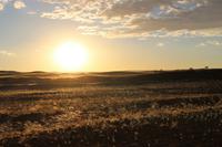 Sundownerfahrt in der Namib Desert Lodge