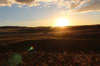 Sundownerfahrt in der Namib Desert Lodge