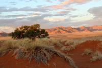 Sundownerfahrt in der Namib Desert Lodge