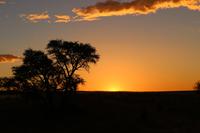 Sonnenuntergang in der Namib