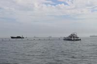 Katamaranfahrt in Walvis Bay