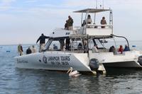 Katamaranfahrt in Walvis Bay