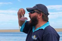 Kapitän des Katamarans mit Qualle