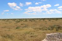 Etosha Nationalpark
