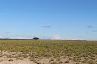 Etosha Nationalpark