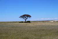 Etosha Nationalpark