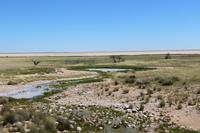 Etosha Nationalpark